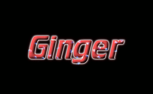 Ginger Лого