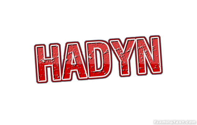 Hadyn Logo
