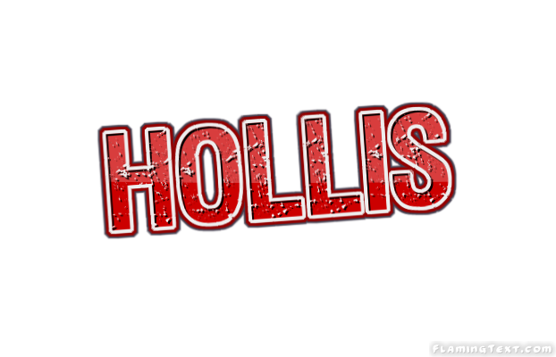 Hollis 徽标