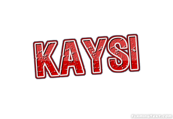 Kaysi ロゴ
