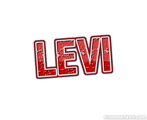 Levi ロゴ