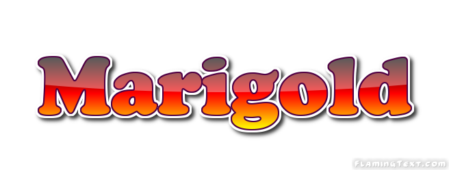 Marigold Logo