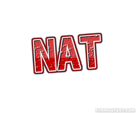 Nat 徽标