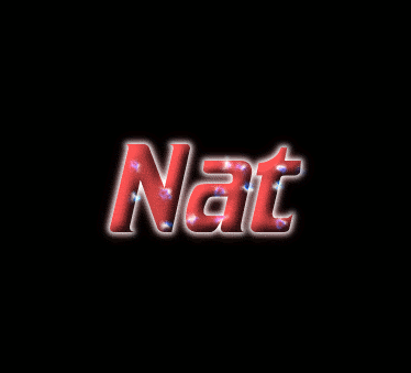 Nat 徽标
