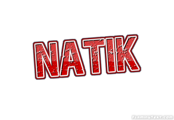 Natik ロゴ