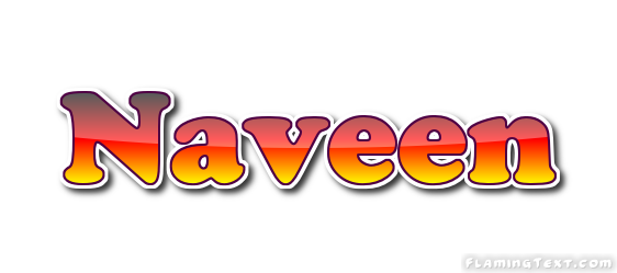 Naveen Logo