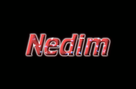 Nedim Logo