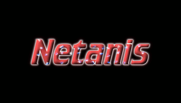 Netanis 徽标