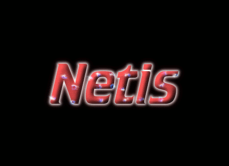 Netis شعار