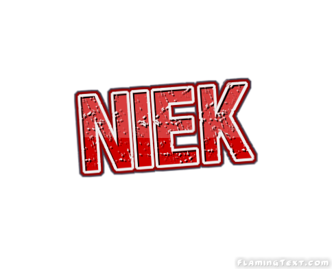 Niek Logo