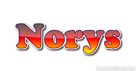 Norys ロゴ