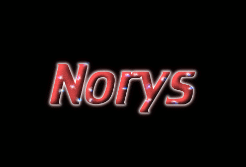 Norys ロゴ