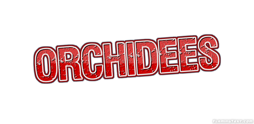 Orchidees Logo