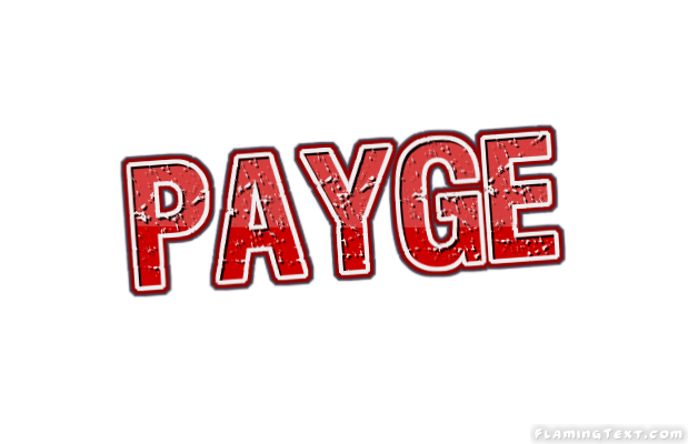 Payge ロゴ