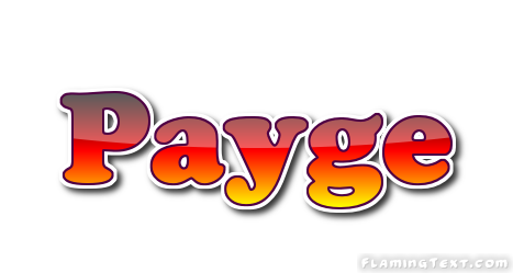 Payge Logotipo