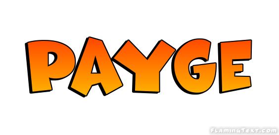 Payge Logo