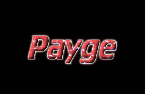 Payge ロゴ