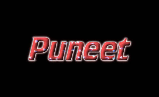 Puneet Лого