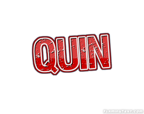 Quin Logo