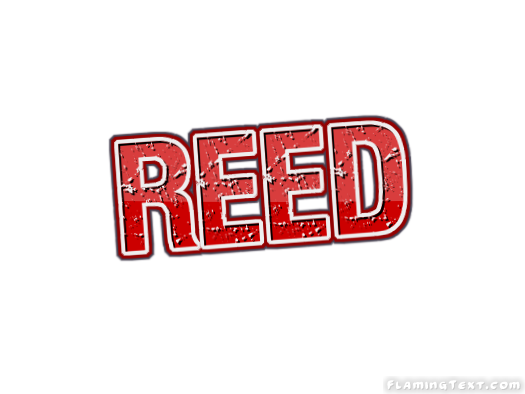 Reed ロゴ