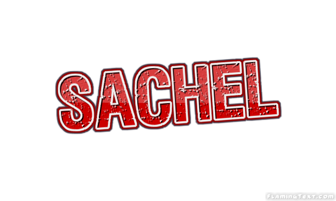 Sachel Лого