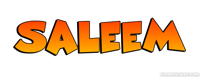 Saleem 徽标