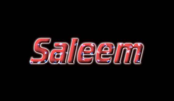 Saleem Лого