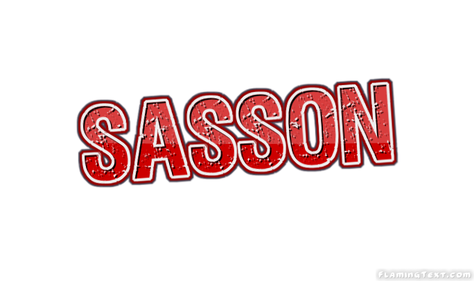 Sasson Лого