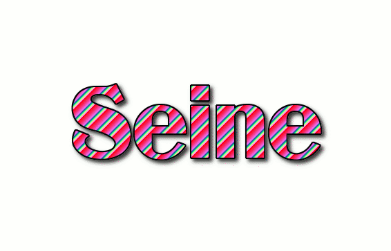 Seine Logo