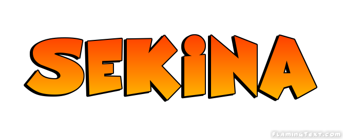 Sekina Logo