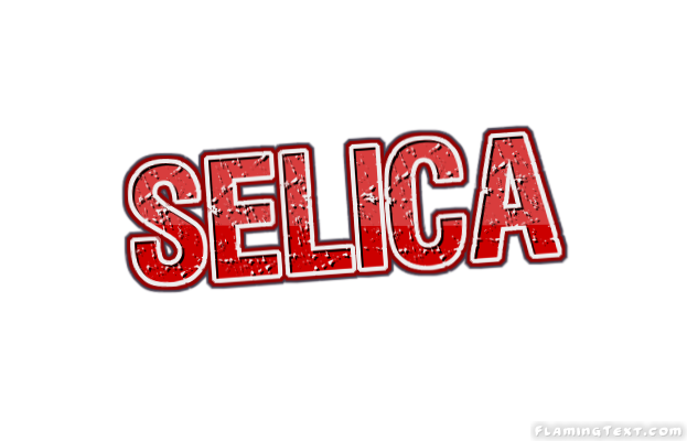 Selica ロゴ