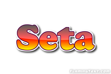 Seta Logo