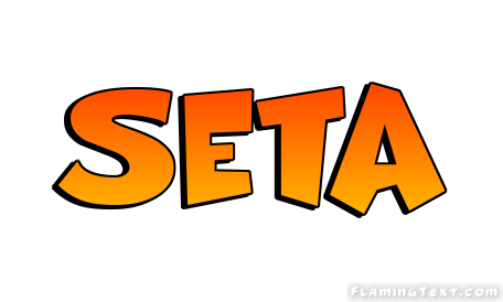 Seta 徽标