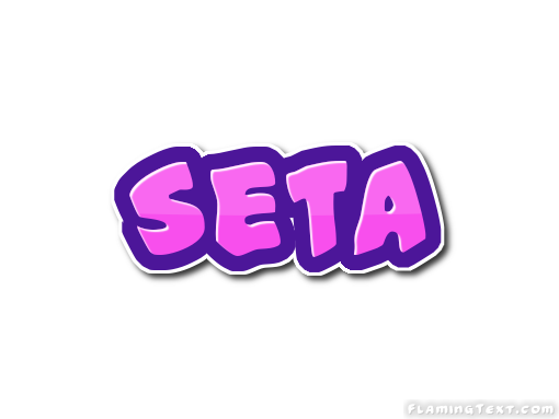 Seta ロゴ