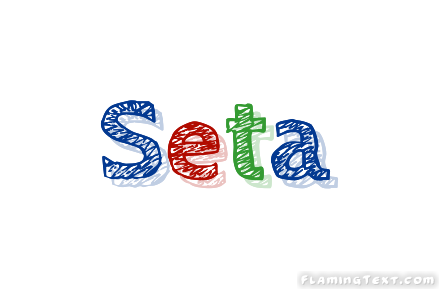 Seta 徽标