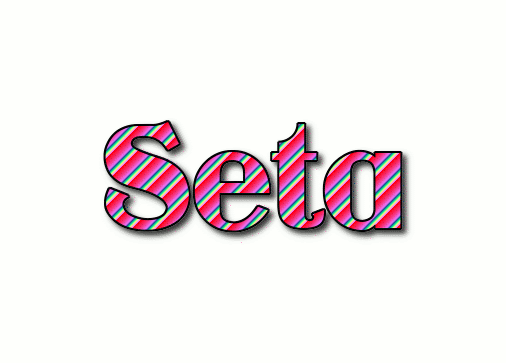 Seta Logotipo