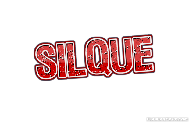 Silque ロゴ