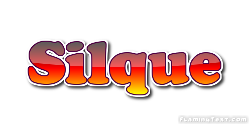 Silque شعار