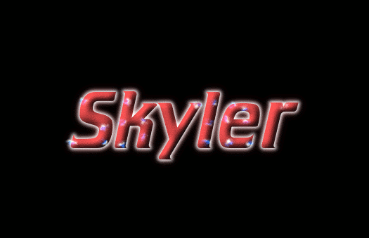 Skyler 徽标