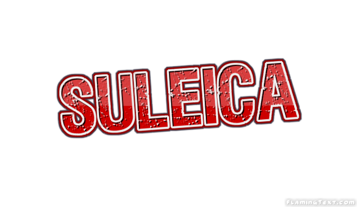 Suleica ロゴ