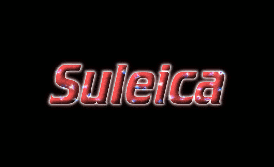 Suleica Logo