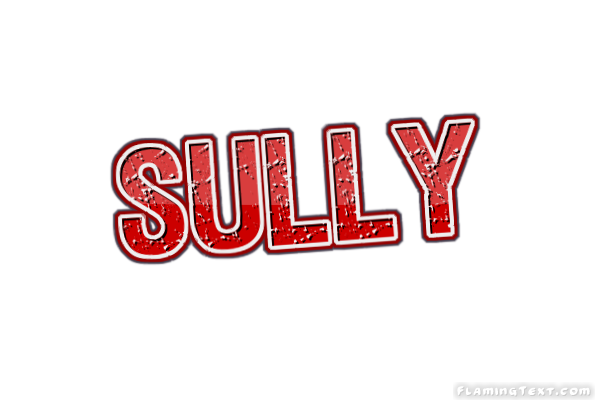Sully Logotipo