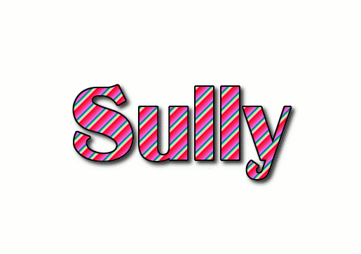 Sully شعار