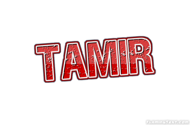 Tamir 徽标
