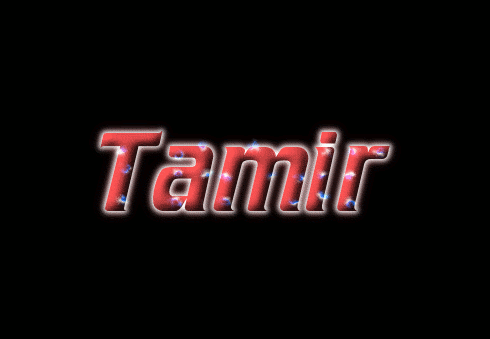 Tamir Logo