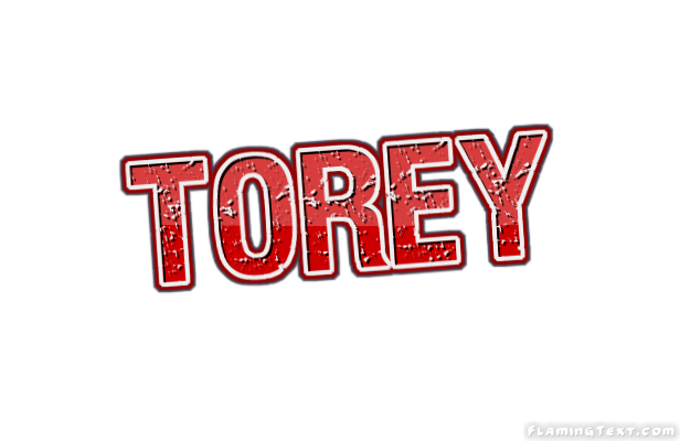 Torey Logotipo