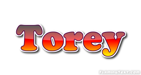 Torey Logo