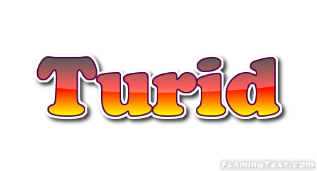 Turid Logo