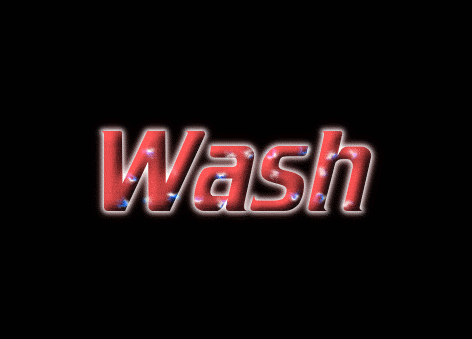 Wash Logo