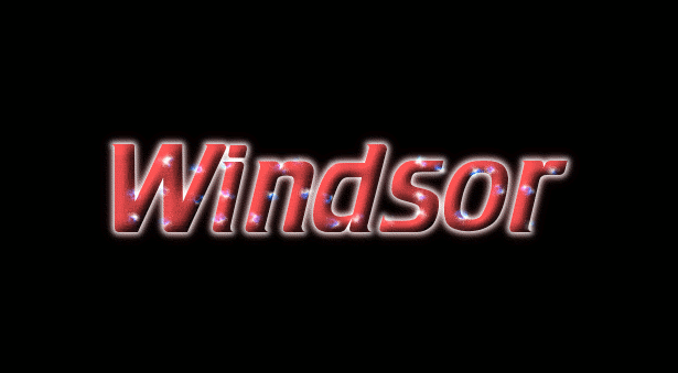 Windsor 徽标